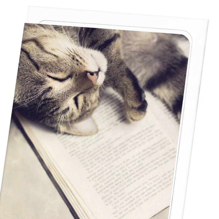 CAT AND BOOK: Photo Greeting Card