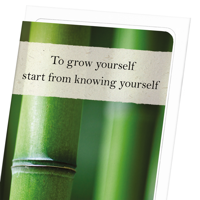 BAMBOO GROVE: Photo Greeting Card