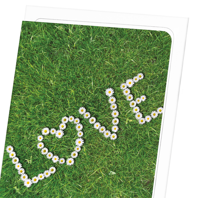 DAISY OF LOVE: Photo Greeting Card