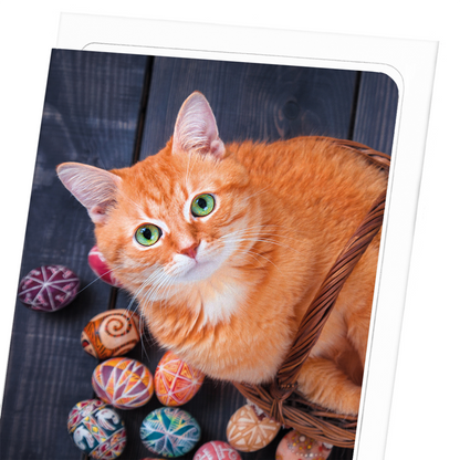EASTER CAT: Photo Greeting Card