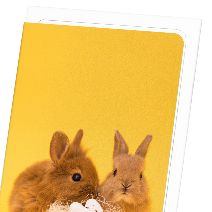 EASTER BUNNIES: Photo Greeting Card