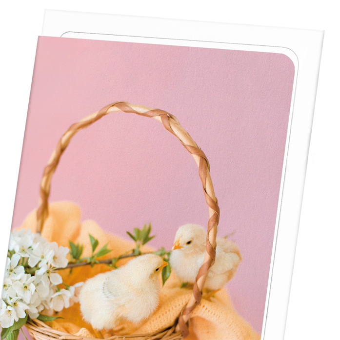 TWO CHICKS AND BASKET: Photo Greeting Card