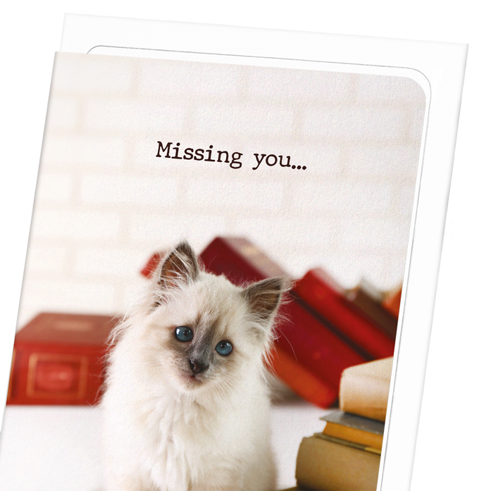 MISSING YOU: KITTEN: Photo Greeting Card