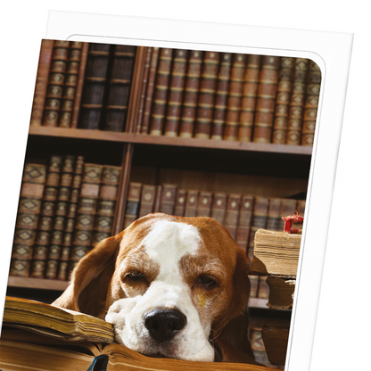 DOG OF LITERATURE: Photo Greeting Card