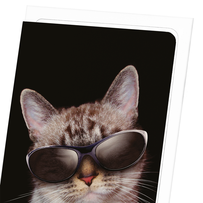 COOL CAT: Photo Greeting Card
