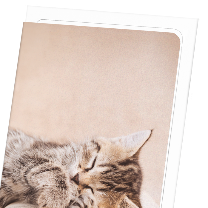 KITTEN SLEEPING ON A BOOK: Photo Greeting Card
