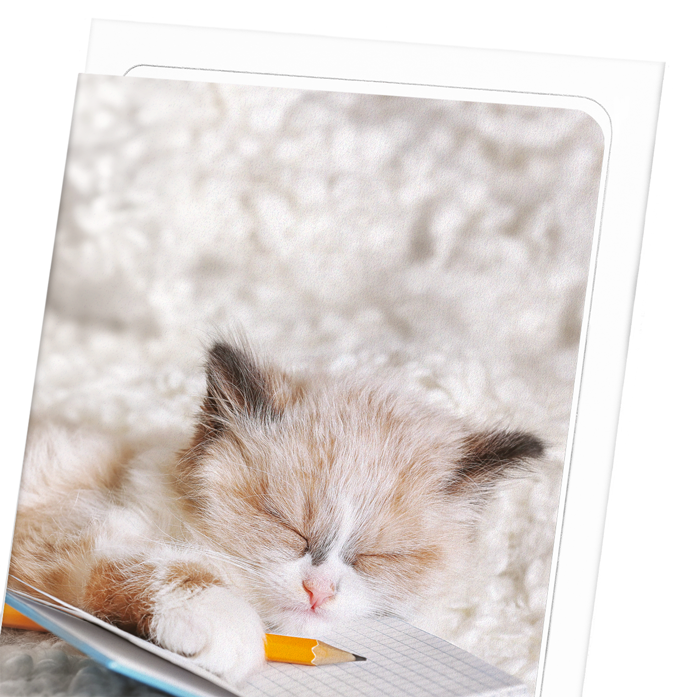 KITTEN AND NOTEBOOK: Photo Greeting Card