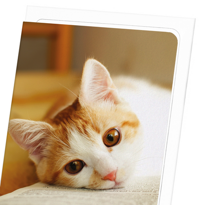 GINGER CAT AND BOOK: Photo Greeting Card