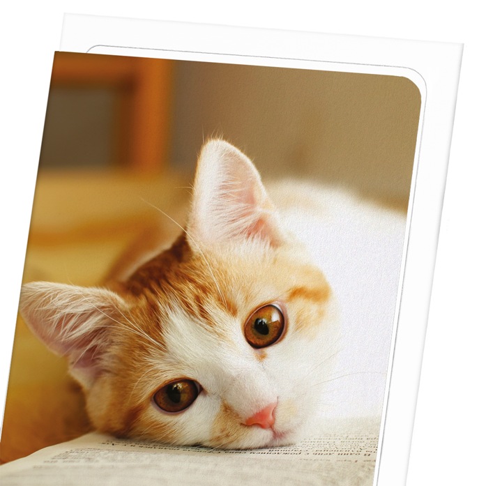 GINGER CAT AND BOOK: Photo Greeting Card