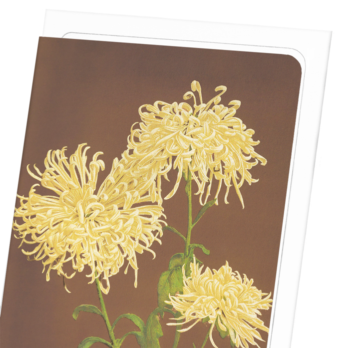 PHOTOMECHANICAL PRINT OF CHRYSANTHEMUMS (C.1890): Photo Greeting Card