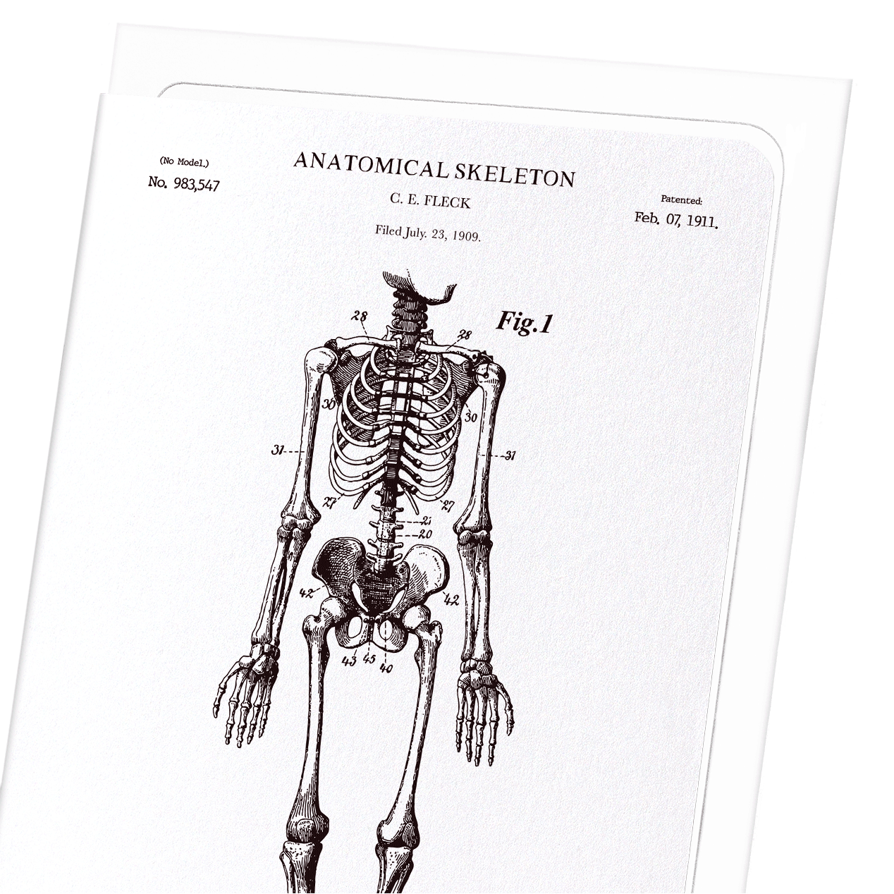 PATENT OF ANATOMICAL FULL SKELETON (1911): Patent Greeting Card