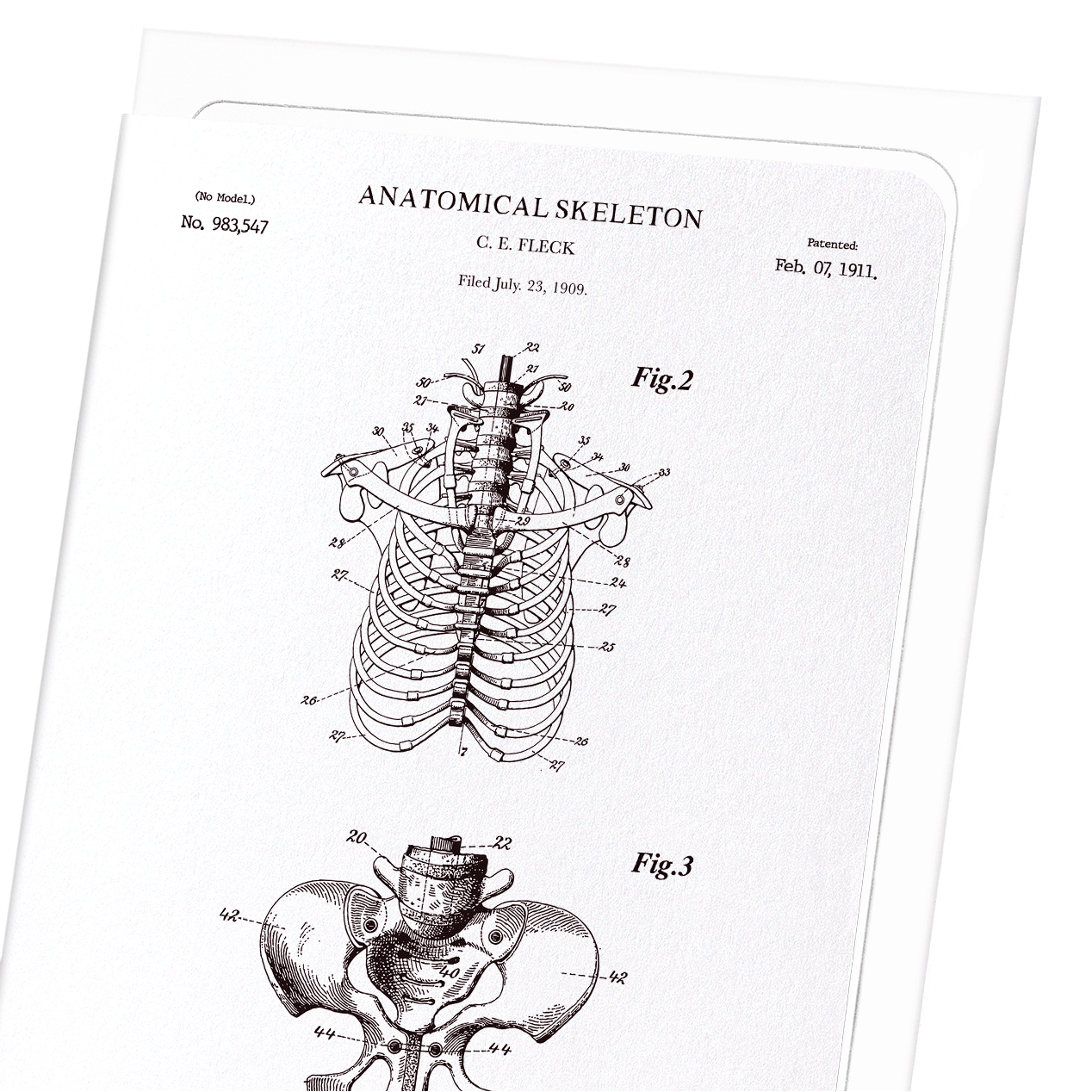 PATENT OF ANATOMICAL SKELETON (1911): Patent Greeting Card