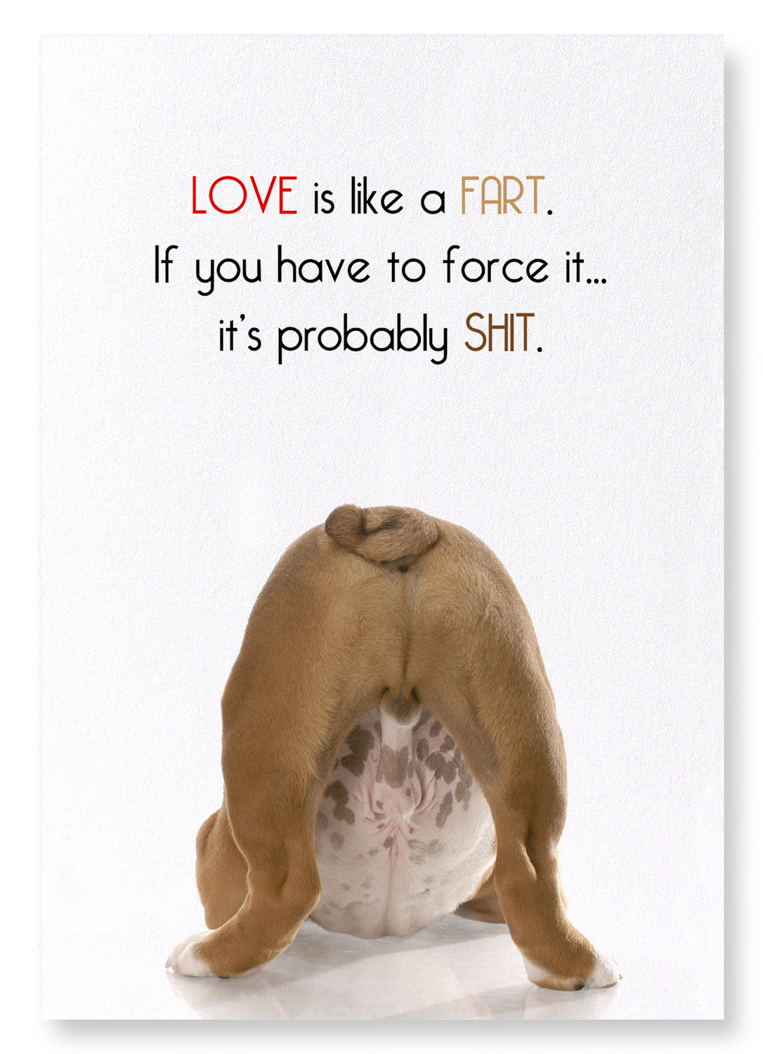 LOVE IS LIKE A FART: Funny Animal Art print