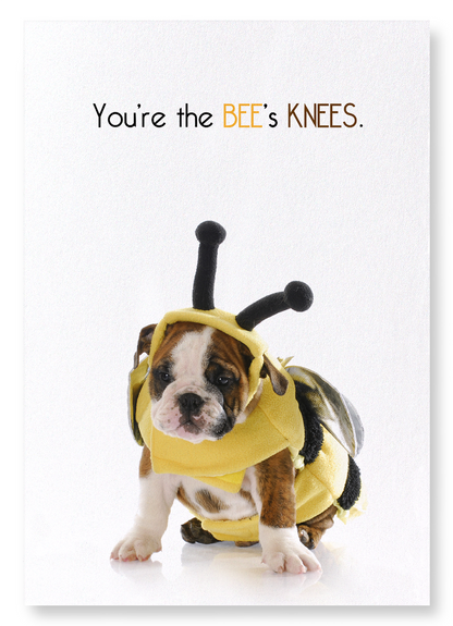 THE BEE'S KNEES: Funny Animal Art Print