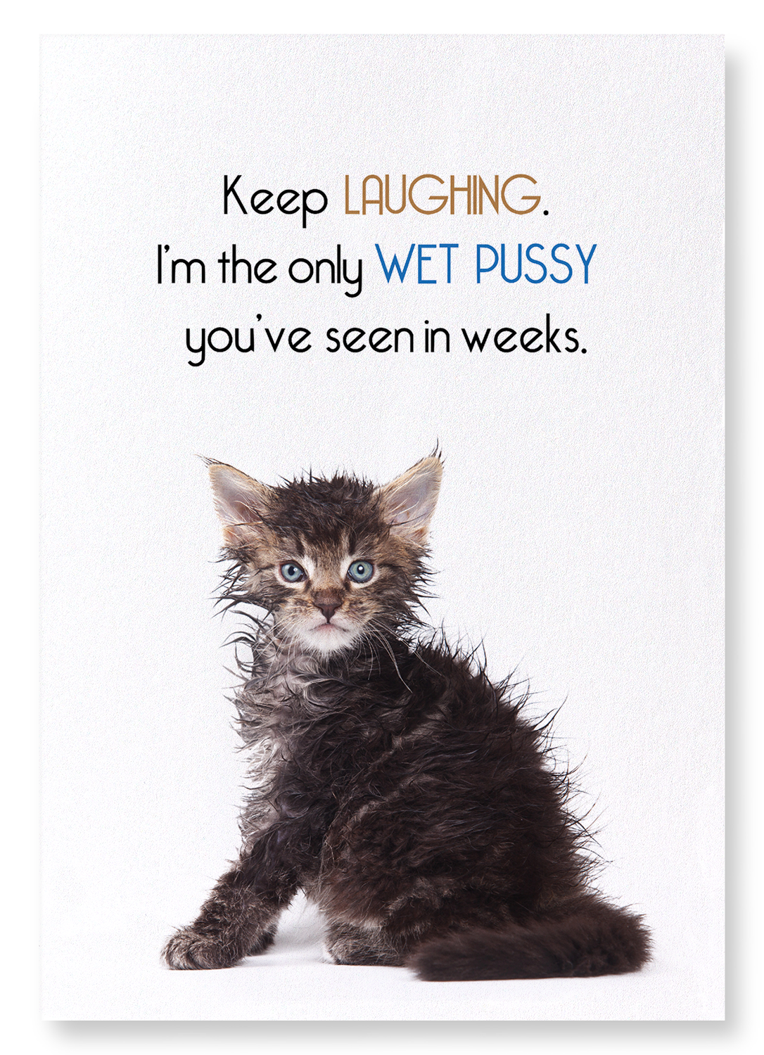 WET PUSSY: Funny Animal Art Print