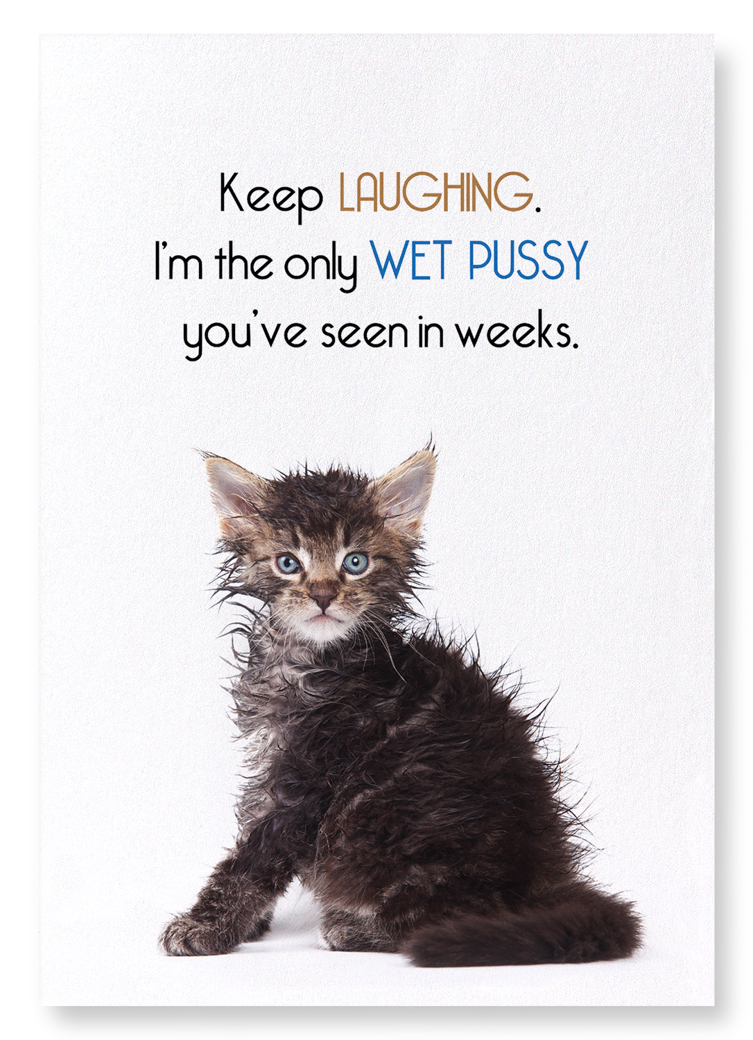 WET PUSSY: Funny Animal Art print