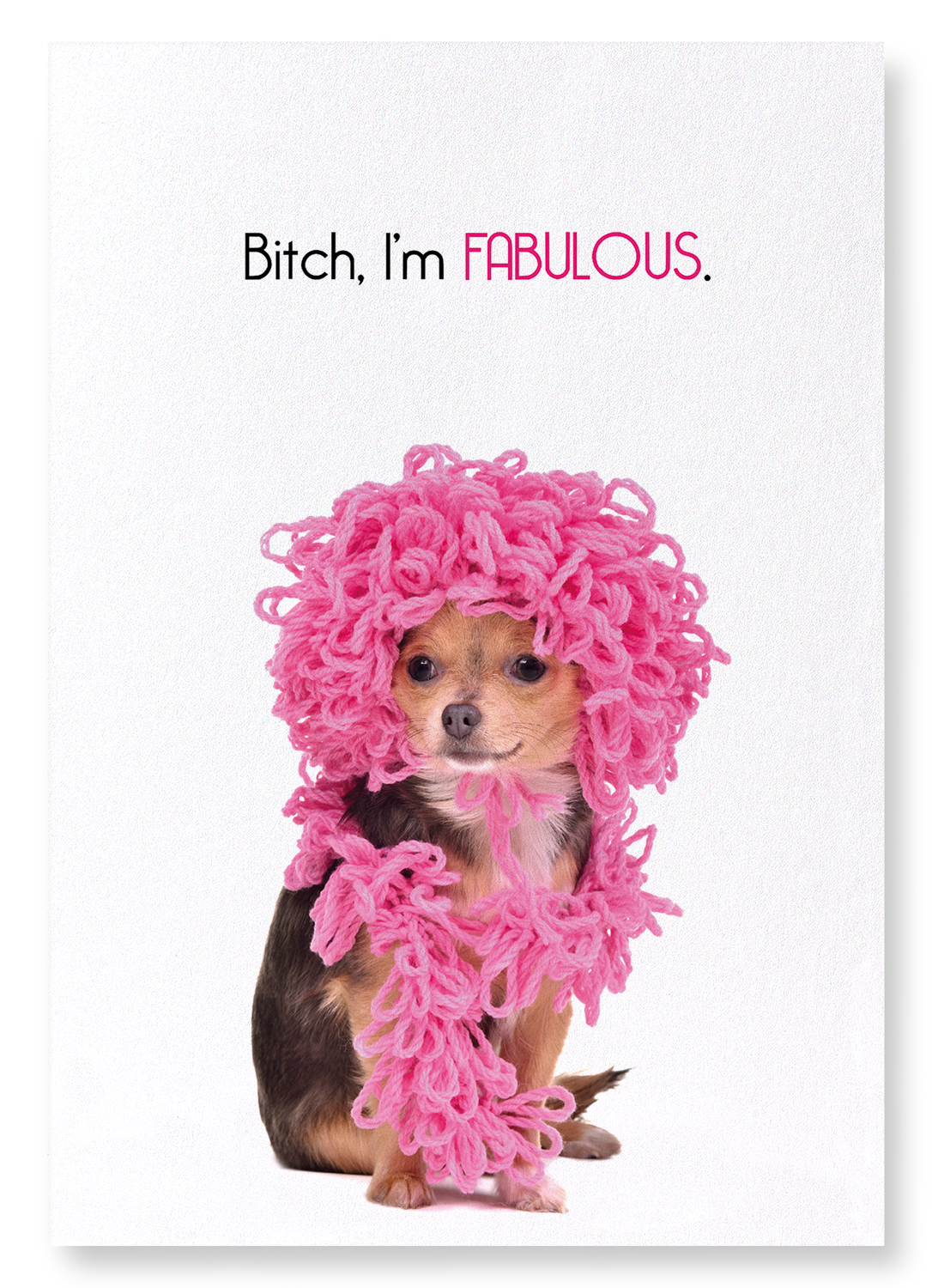 BITCH, I'M FABULOUS: Funny Animal Art print