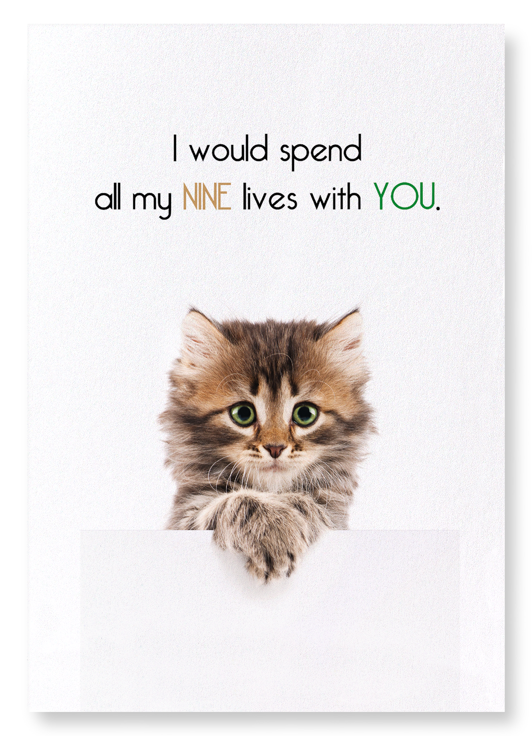 NINE LIVES WITH YOU: Funny Animal Art Print