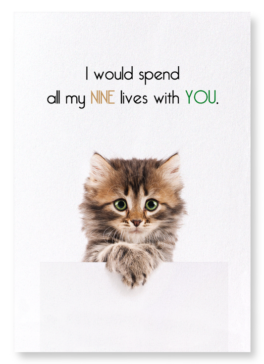 NINE LIVES WITH YOU: Funny Animal Art Print