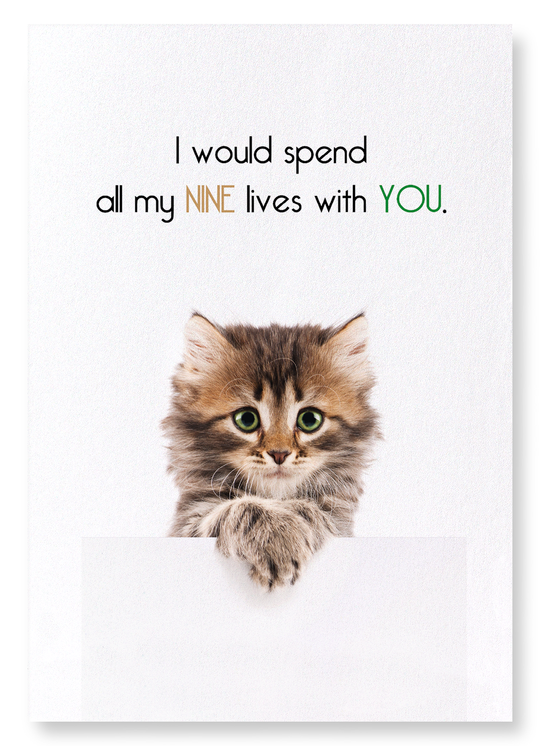 NINE LIVES WITH YOU: Funny Animal Art print