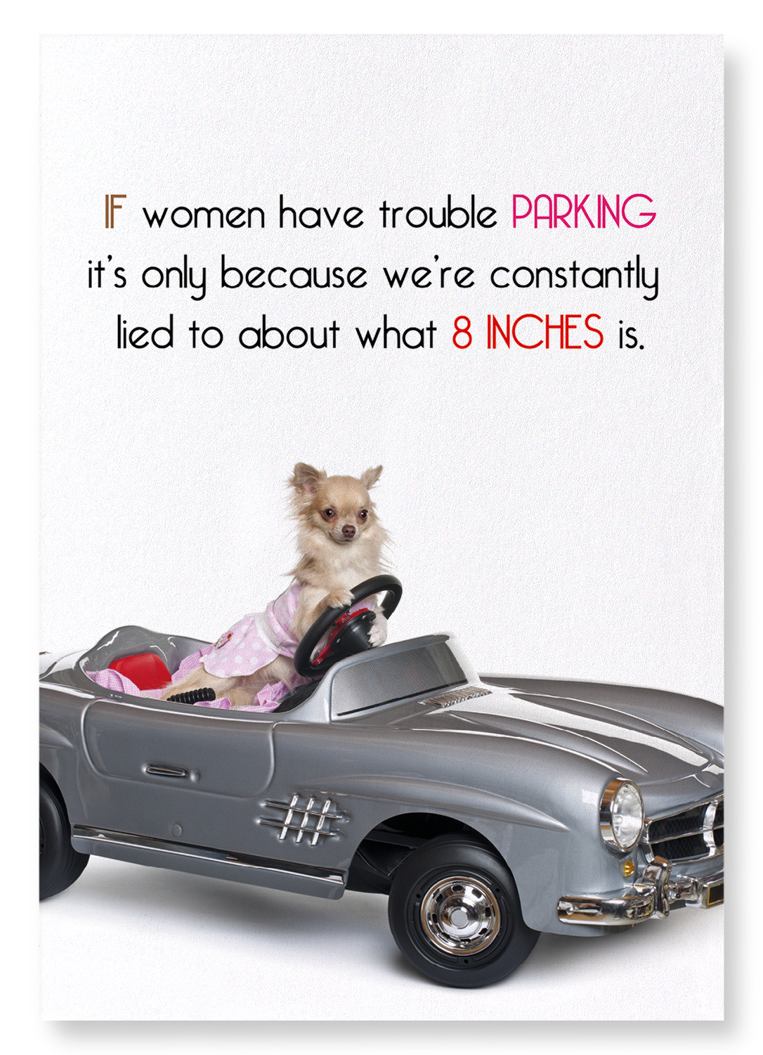PARKING AND 8 INCHES: Funny Animal Art Print