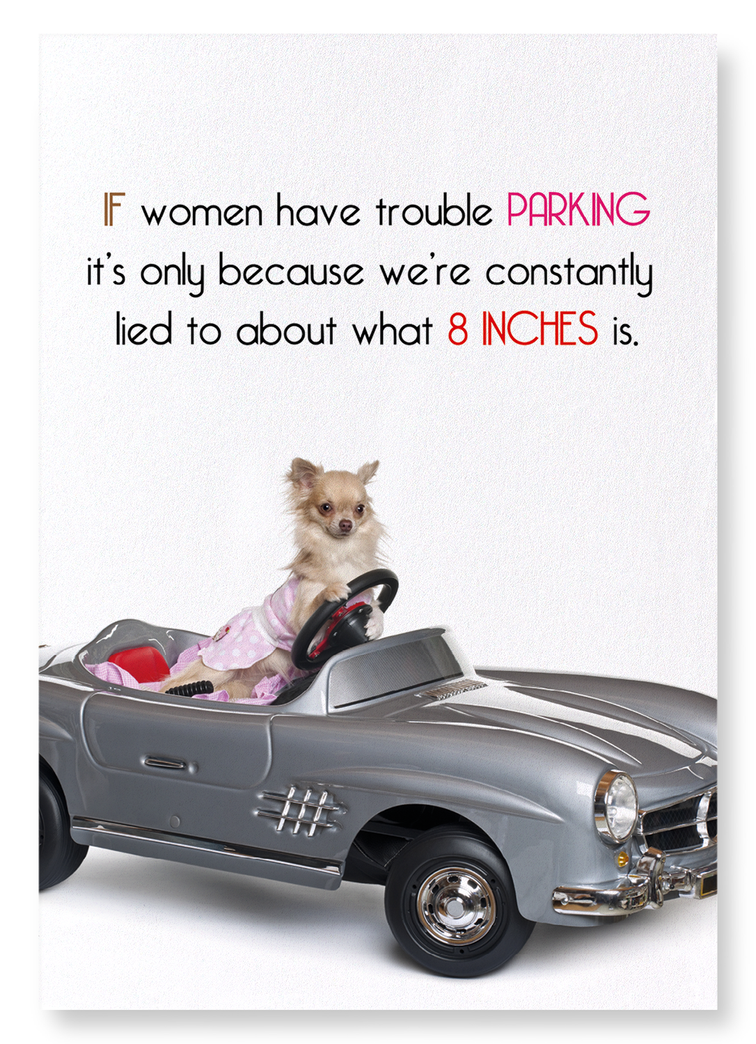 PARKING AND 8 INCHES: Funny Animal Art print