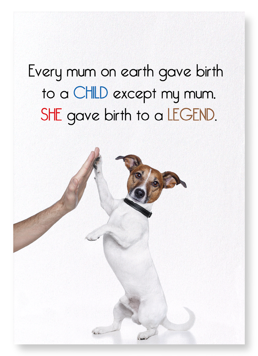 BIRTH OF A LEGEND: Funny Animal Art Print