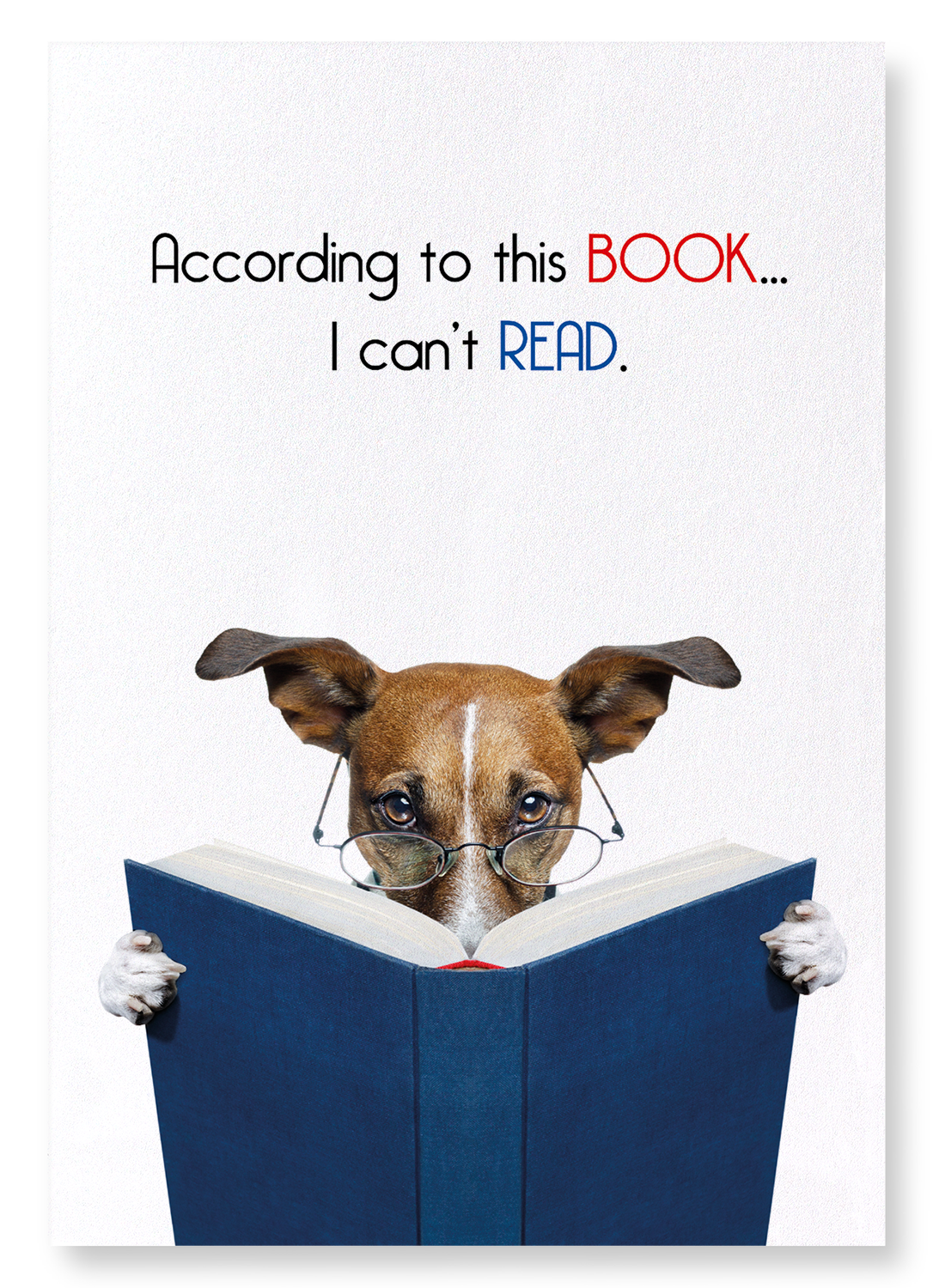 BOOK READING: Funny Animal Art Print