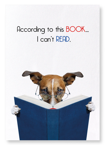 BOOK READING: Funny Animal Art Print