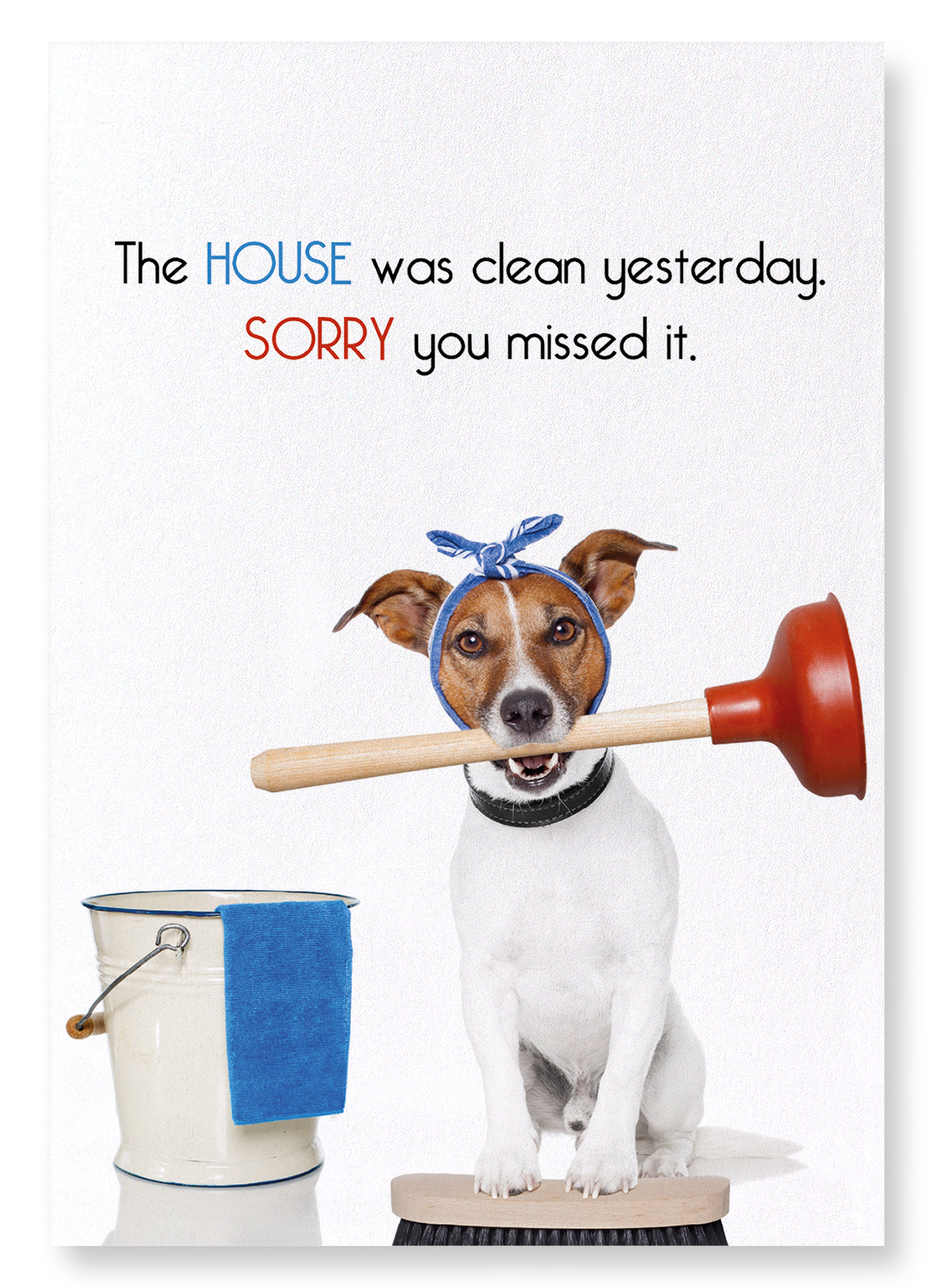HOUSE CLEANING: Funny Animal Art Print