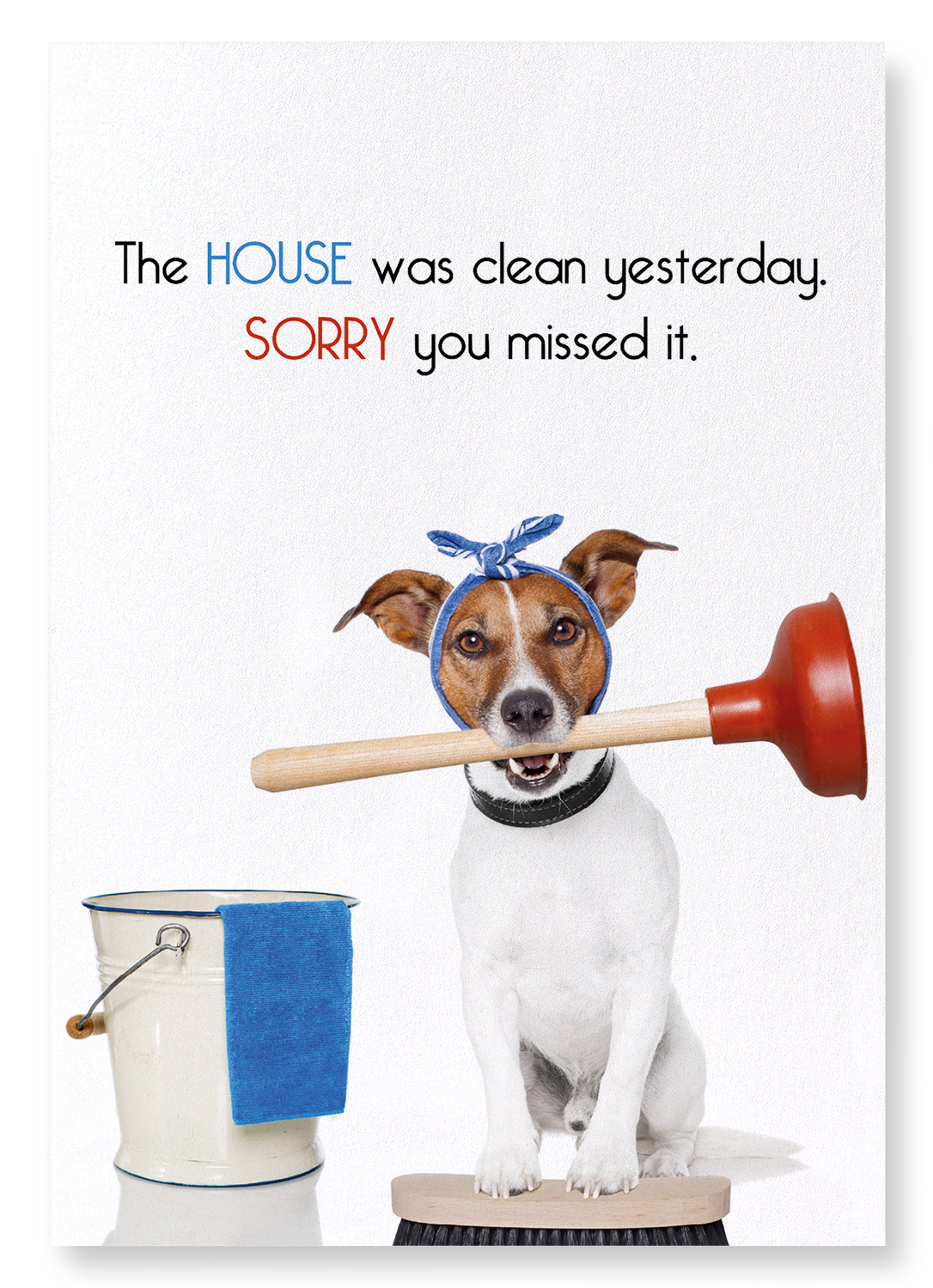 HOUSE CLEANING: Funny Animal Art print