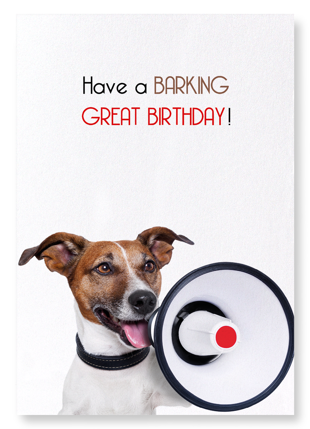 A BARKING BIRTHDAY: Funny Animal Art Print