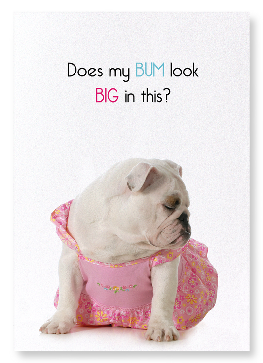 BIG BUM: Funny Animal Art Print