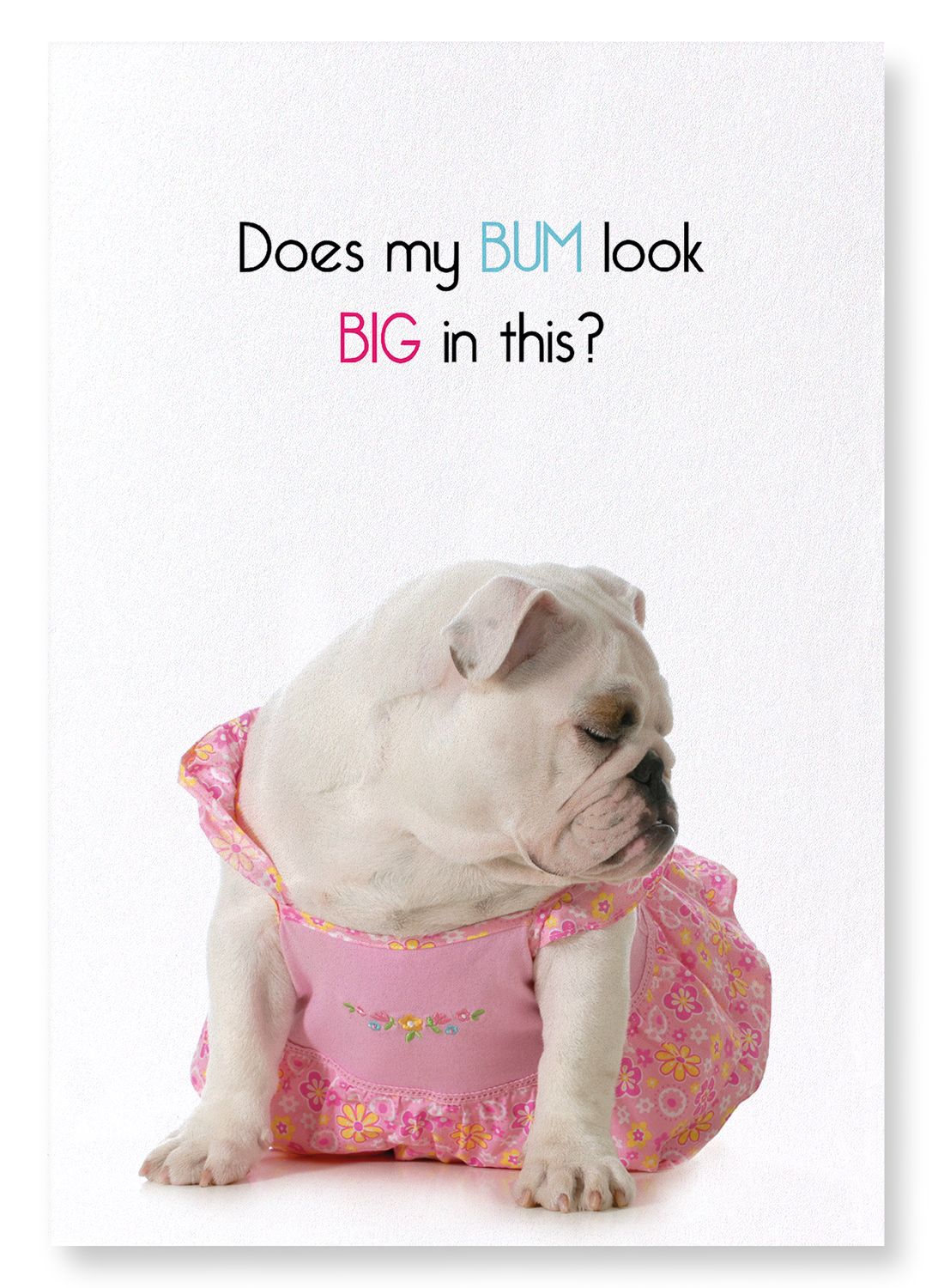 BIG BUM: Funny Animal Art print