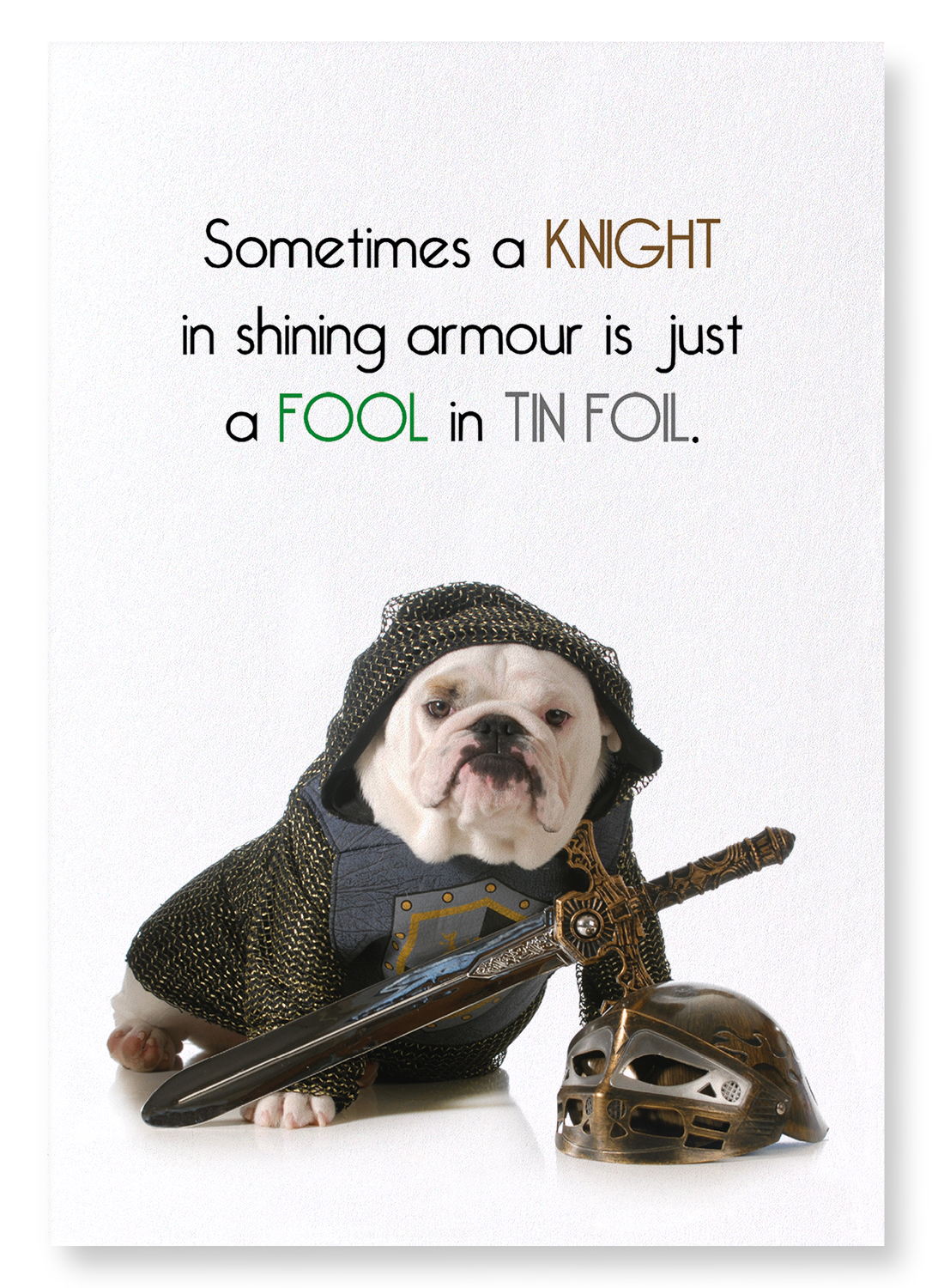 FOOL IN TIN FOIL: Funny Animal Art Print