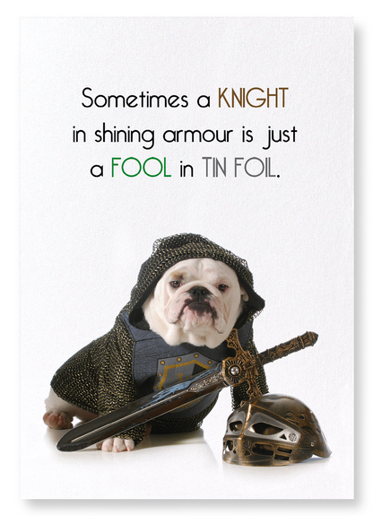 FOOL IN TIN FOIL: Funny Animal Art Print