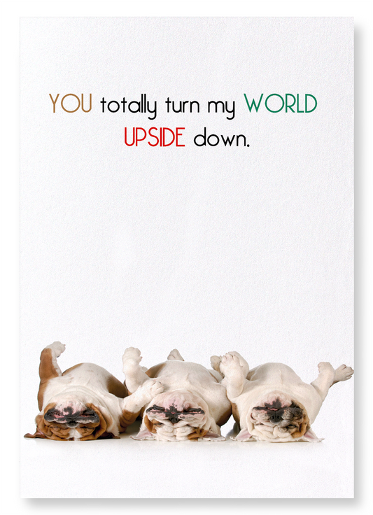 UPSIDE DOWN: Funny Animal Art Print