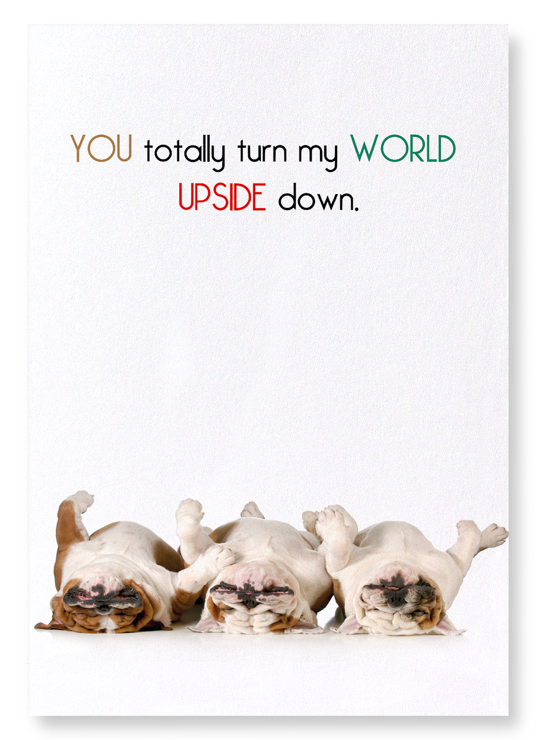 UPSIDE DOWN: Funny Animal Art print