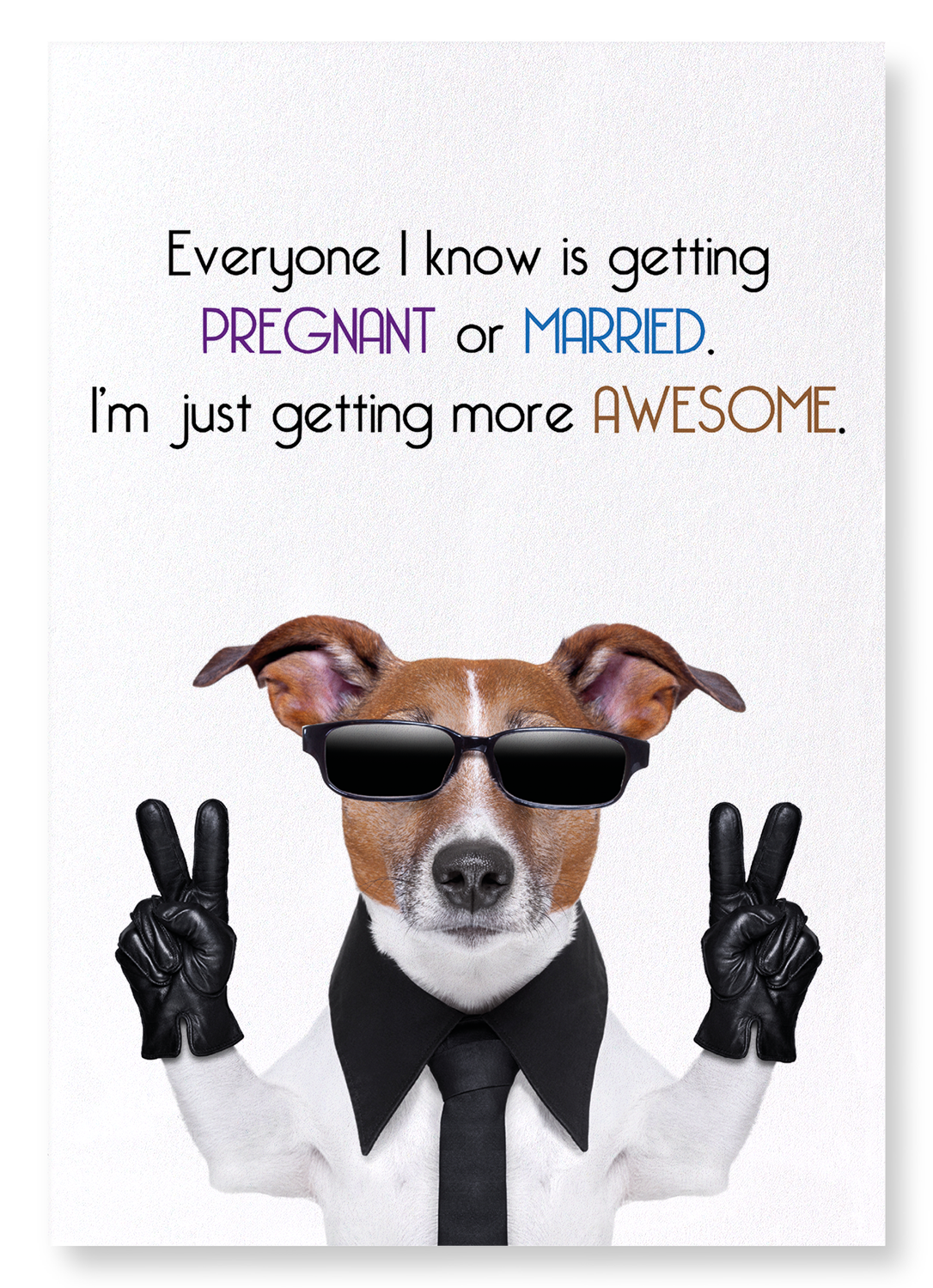 GETTING MORE AWESOME: Funny Animal Art print