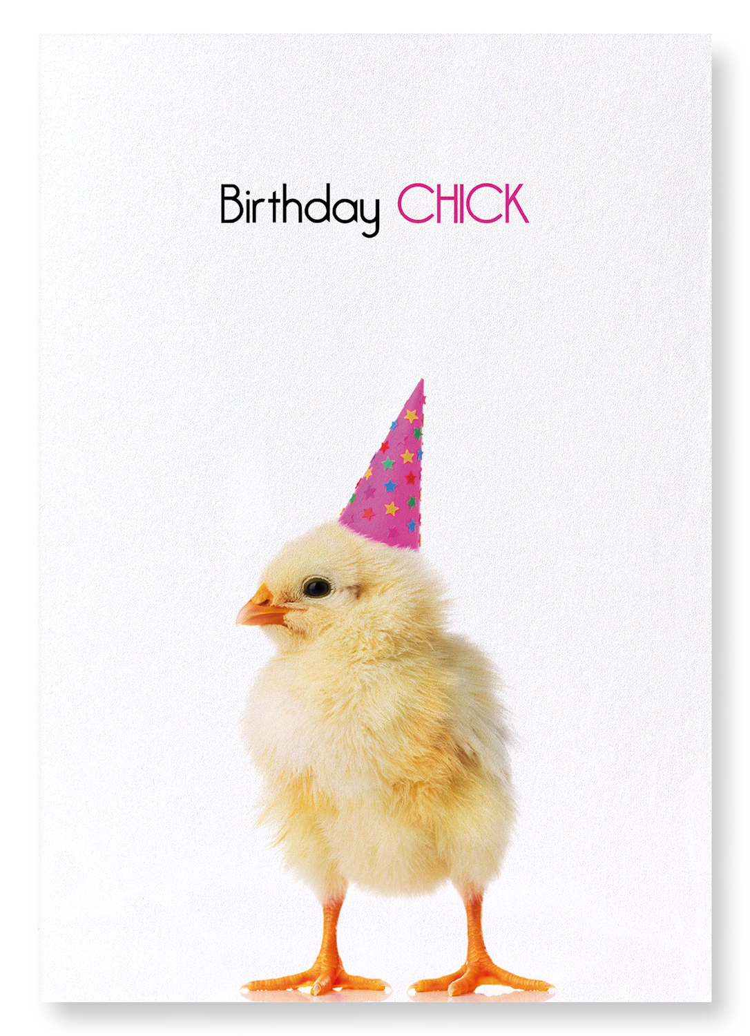 BIRTHDAY CHICK: Funny Animal Art Print