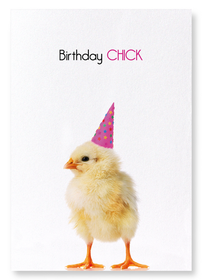 BIRTHDAY CHICK: Funny Animal Art Print