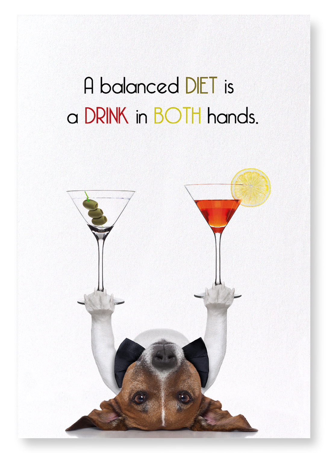DRINK IN BOTH HANDS: Funny Animal Art print