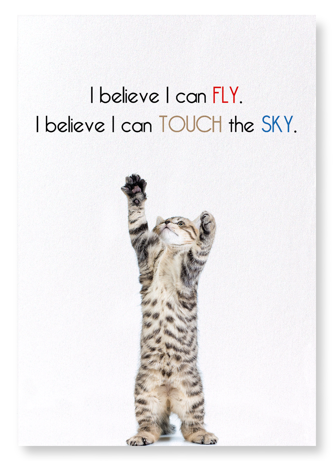 I BELIEVE I CAN FLY: Funny Animal Art print