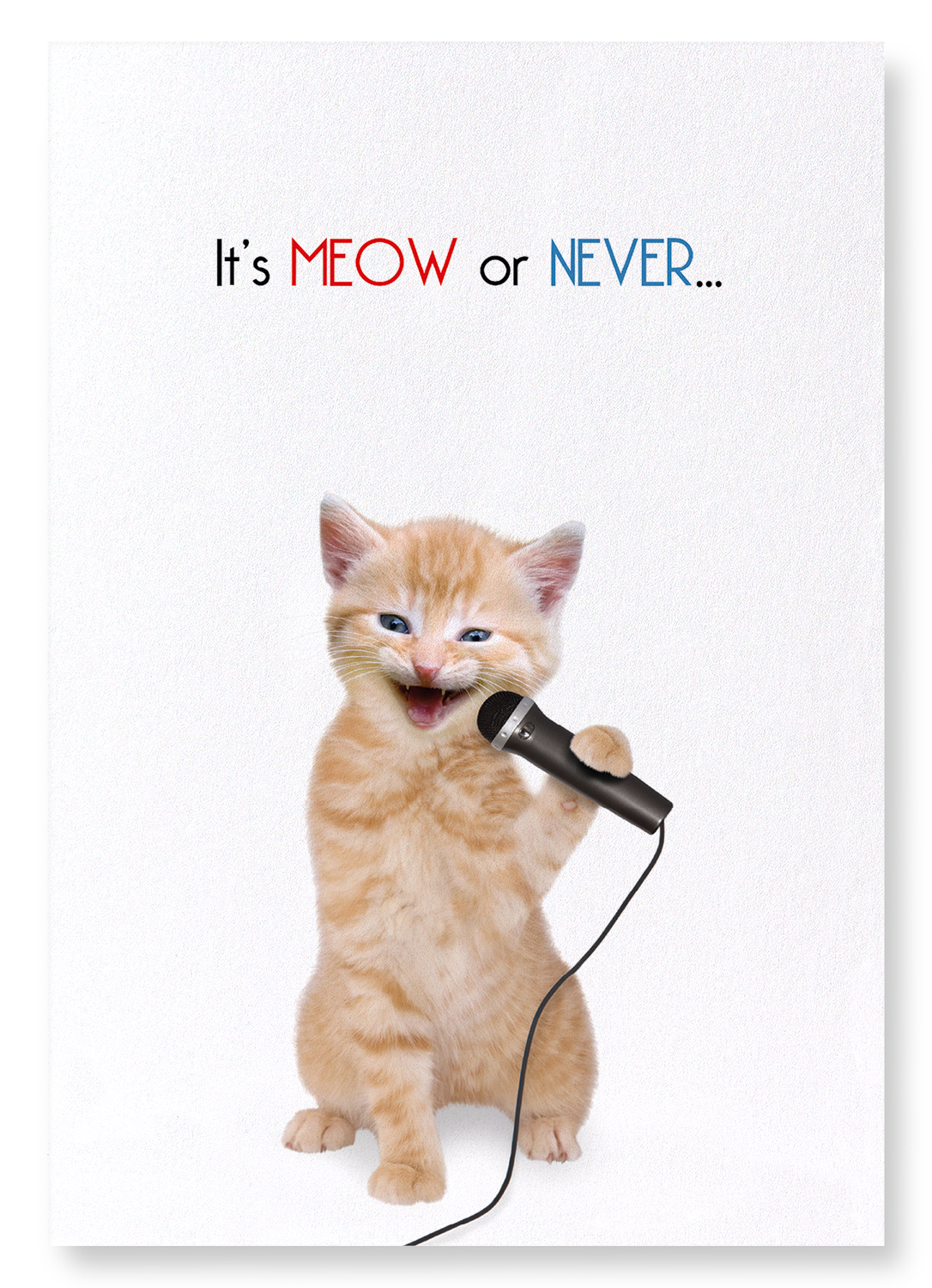 IT'S MEOW OR NEVER: Funny Animal Art Print