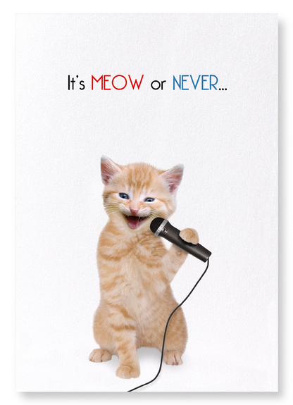 IT'S MEOW OR NEVER: Funny Animal Art Print