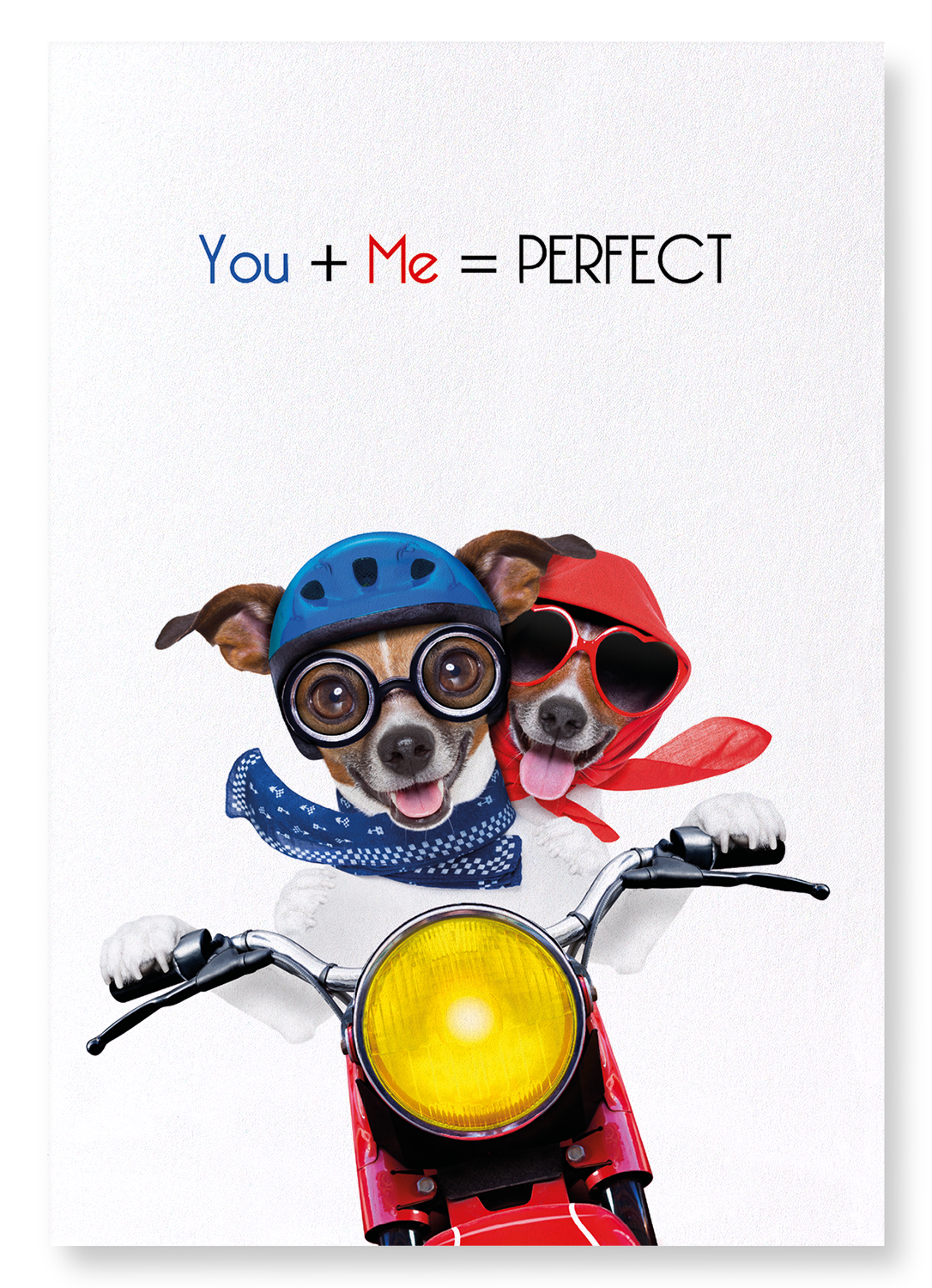 YOU + ME = PERFECT: Funny Animal Art Print