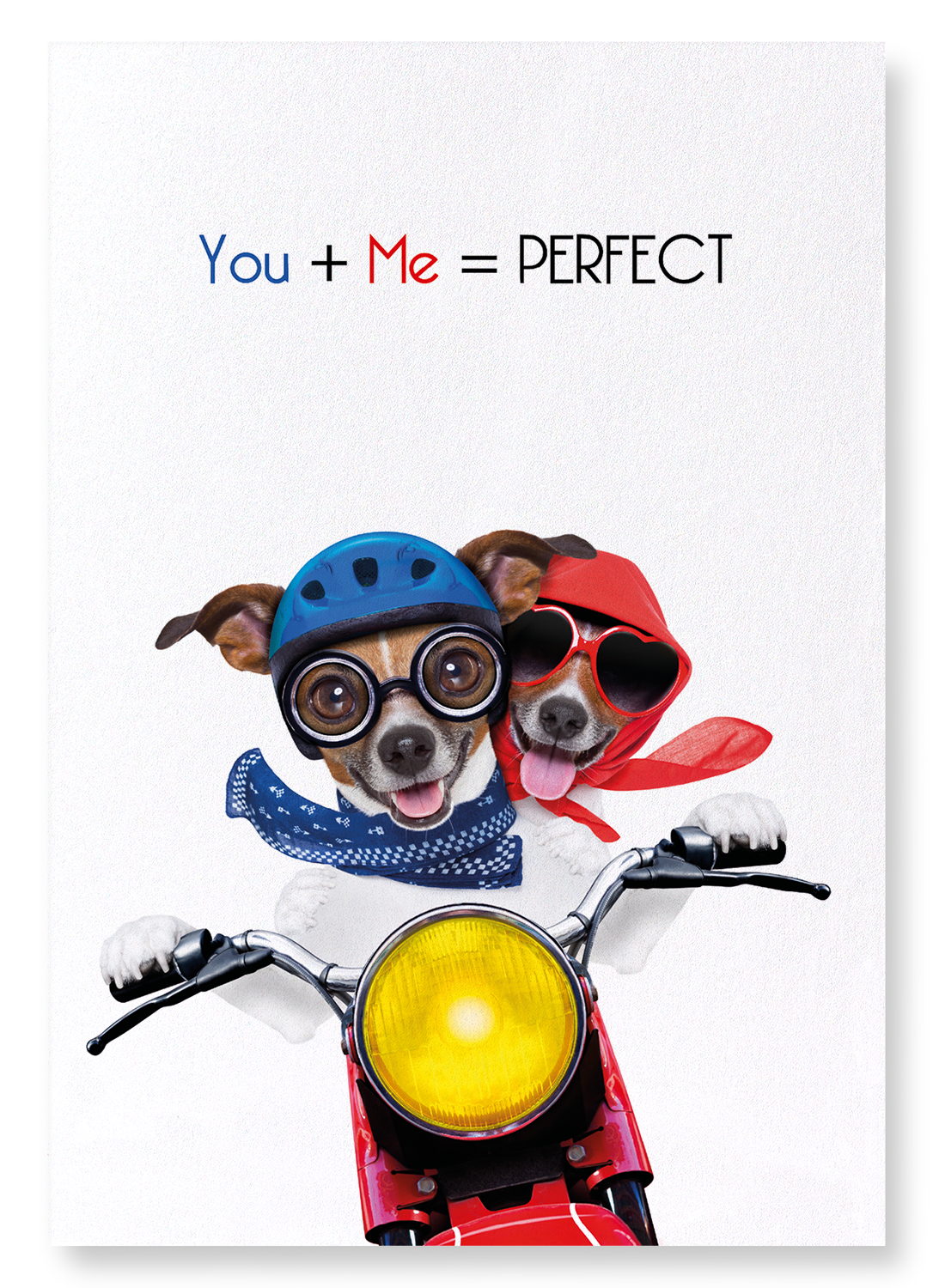 YOU + ME = PERFECT: Funny Animal Art print