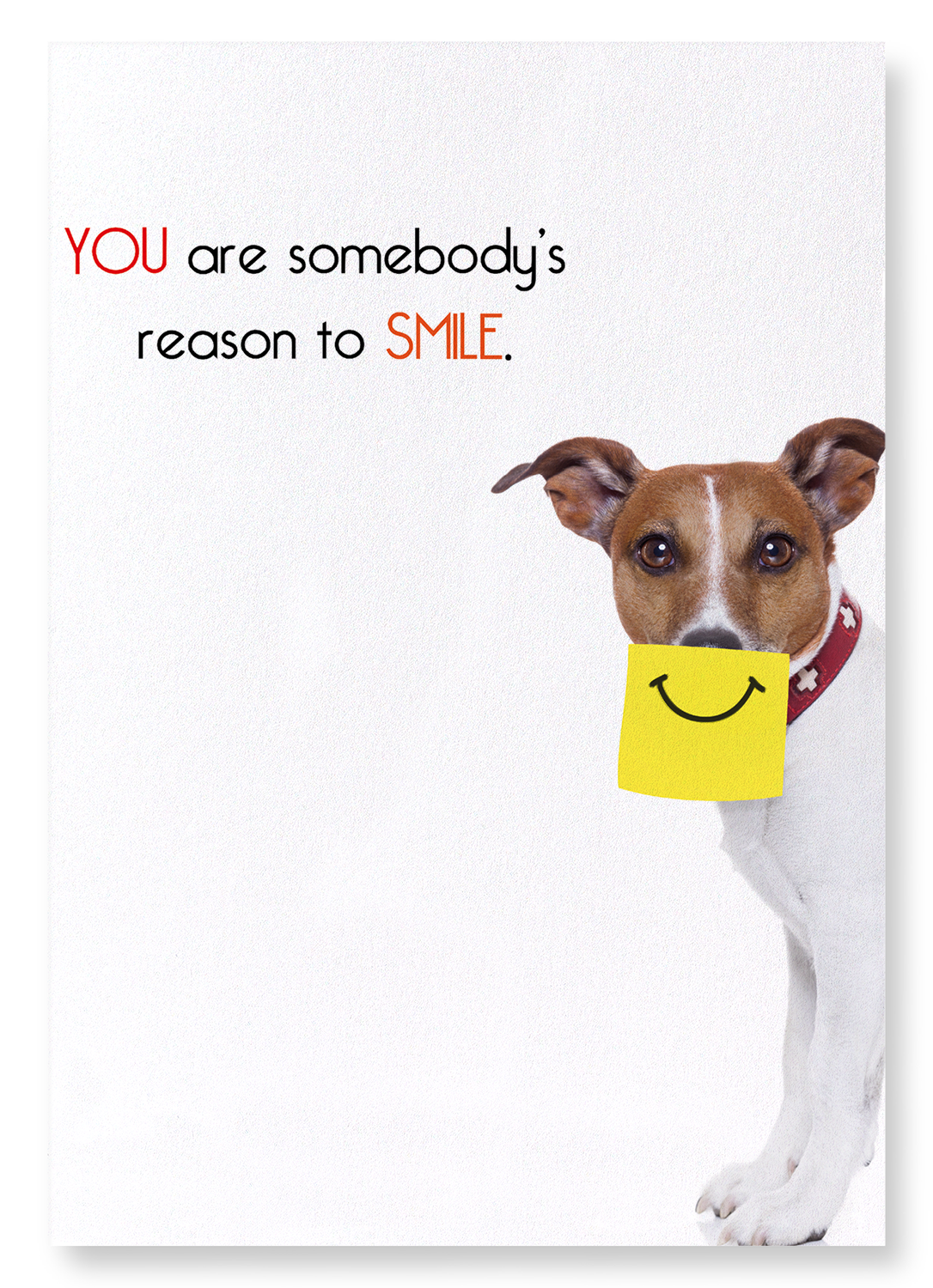 SOMEBODY'S REASON TO SMILE: Funny Animal Art Print