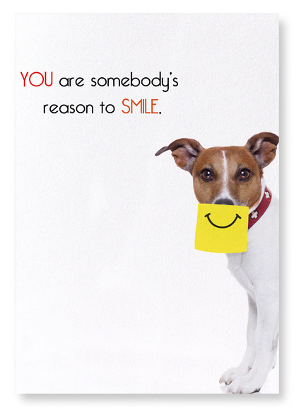 SOMEBODY'S REASON TO SMILE: Funny Animal Art Print