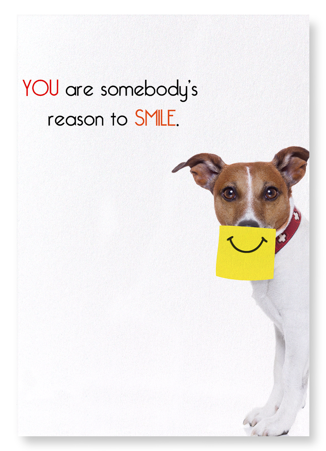 SOMEBODY'S REASON TO SMILE: Funny Animal Art print